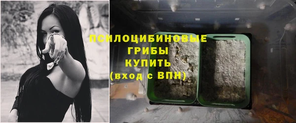 стаф Богородск