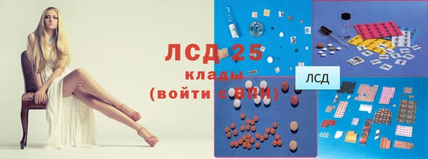 стаф Богородск
