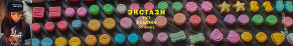 стаф Богородск