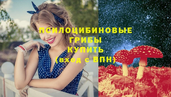круглые Богородицк