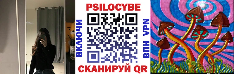 цена наркотик  kraken вход  Галлюциногенные грибы Psilocybine cubensis  Севск 