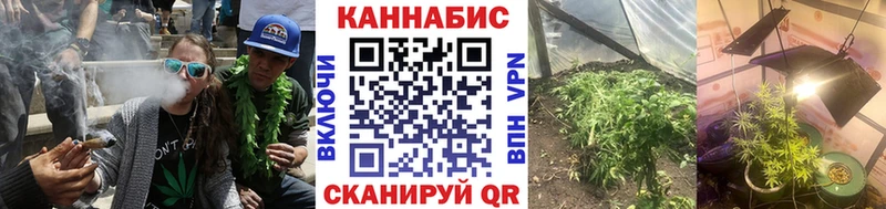 Бошки марихуана марихуана  Севск 
